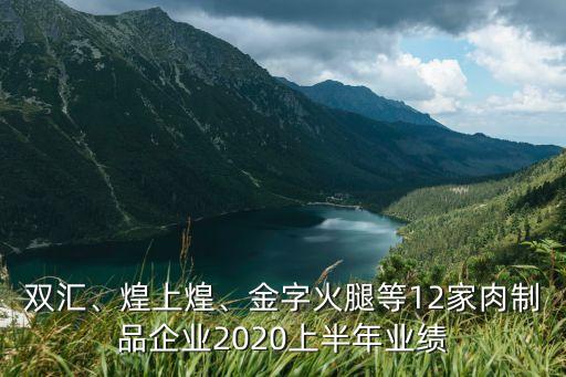 雙匯、煌上煌、金字火腿等12家肉制品企業(yè)2020上半年業(yè)績