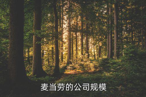  麥當(dāng)勞的公司規(guī)模