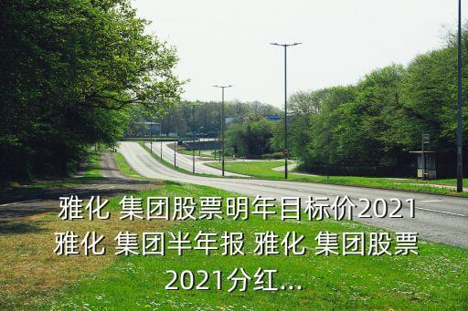  雅化 集團(tuán)股票明年目標(biāo)價2021 雅化 集團(tuán)半年報 雅化 集團(tuán)股票2021分紅...