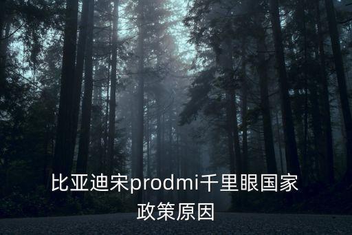  比亞迪宋prodmi千里眼國家 政策原因