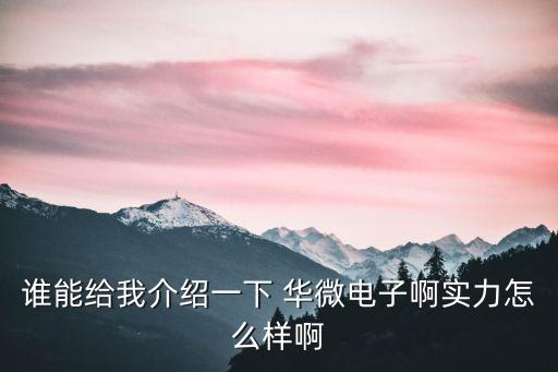 吉林華微電子股份有限公司怎么樣,廣東省華微檢測股份有限公司怎么樣