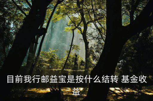 郵政貨幣基金變現(xiàn),郵政零錢寶是貨幣基金產(chǎn)品嗎