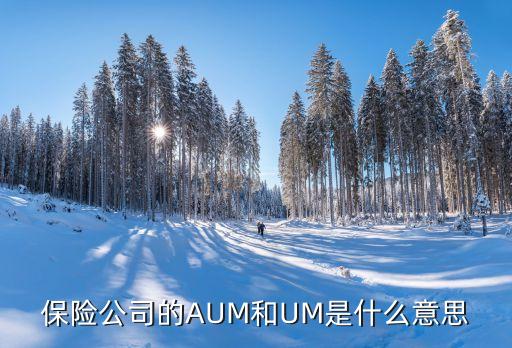 保險公司的AUM和UM是什么意思