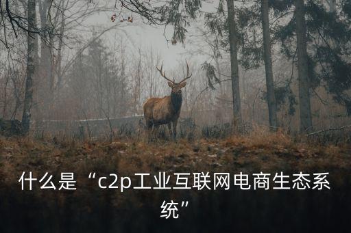 什么是“c2p工業(yè)互聯(lián)網(wǎng)電商生態(tài)系統(tǒng)”