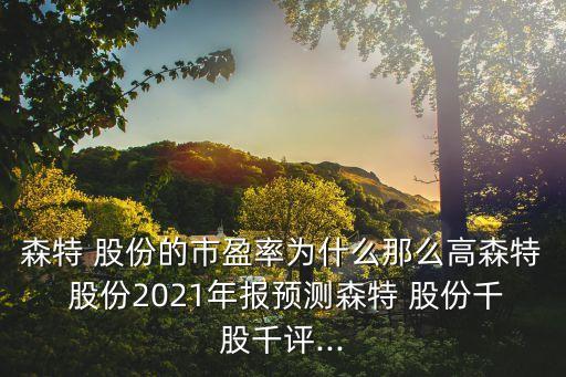 森特 股份的市盈率為什么那么高森特 股份2021年報預(yù)測森特 股份千股千評...