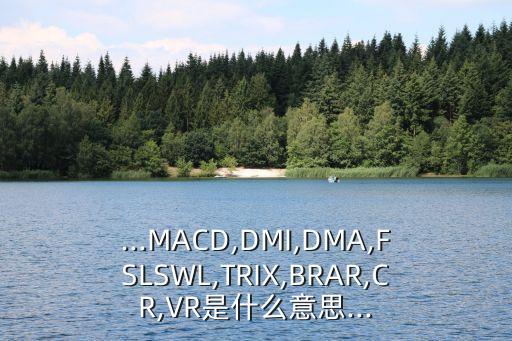 ...MACD,DMI,DMA,FSLSWL,TRIX,BRAR,CR,VR是什么意思...