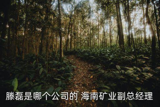 滕磊是哪個(gè)公司的 海南礦業(yè)副總經(jīng)理