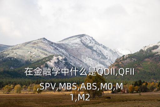 在金融學(xué)中什么是QDII,QFII,SPV,MBS,ABS,M0,M1,M2