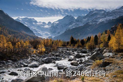 黃浦區(qū)中山南一路246動(dòng)遷嗎