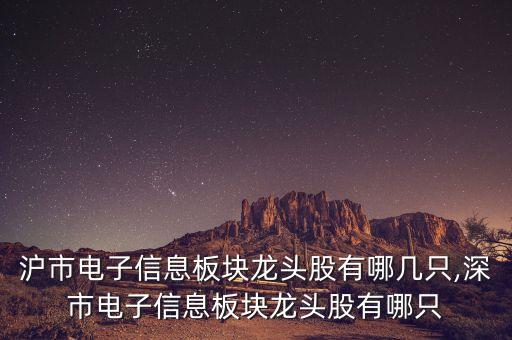 滬市電子信息板塊龍頭股有哪幾只,深市電子信息板塊龍頭股有哪只