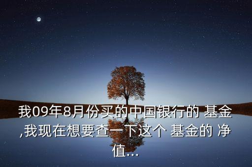 我09年8月份買的中國(guó)銀行的 基金,我現(xiàn)在想要查一下這個(gè) 基金的 凈值...