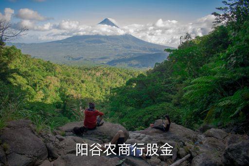 山東省農(nóng)村商業(yè)銀行股票價(jià)格,重慶農(nóng)村商業(yè)銀行股票601077