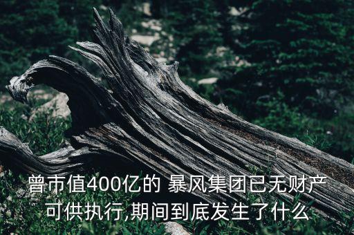 暴風(fēng)科技收購哪個公司