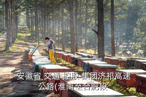  安徽省 交通 控股 集團(tuán)濟(jì)祁高速公路(淮南至合肥段