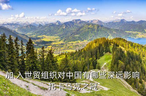 加 入世貿(mào)組織對中國有哪些深遠影響托卡馬克之冠