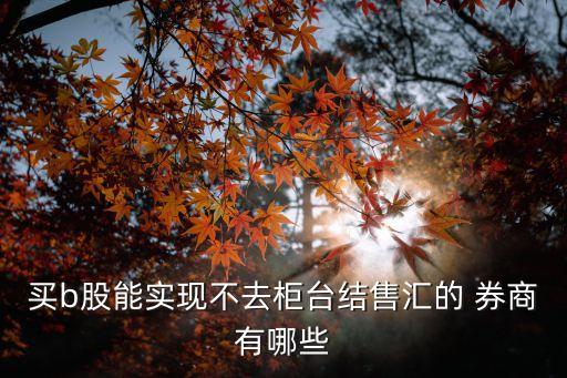 買(mǎi)b股能實(shí)現(xiàn)不去柜臺(tái)結(jié)售匯的 券商有哪些