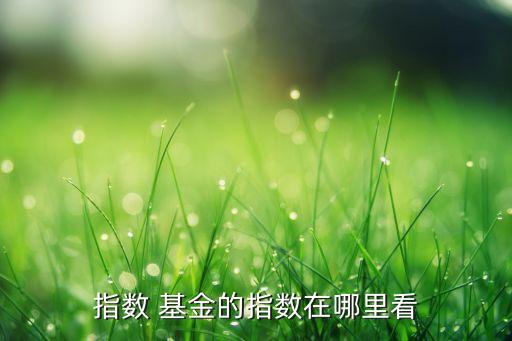 基金000051歷史凈值查詢,華夏300指數(shù)天天基金000051凈值