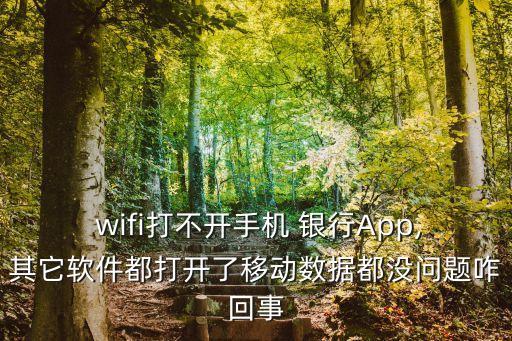  wifi打不開手機(jī) 銀行App,其它軟件都打開了移動(dòng)數(shù)據(jù)都沒問題咋回事