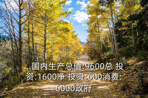 ...國內(nèi)生產(chǎn)總值:9600總 投資:1600凈 投資:600消費(fèi):6000政府