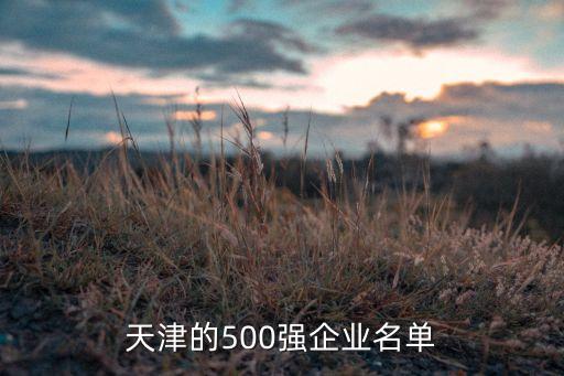 天津的500強企業(yè)名單