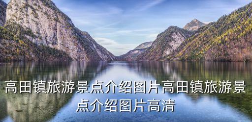 廣東陽(yáng)茂高速公路有限公司地址,廣東佛肇云高速公路有限公司