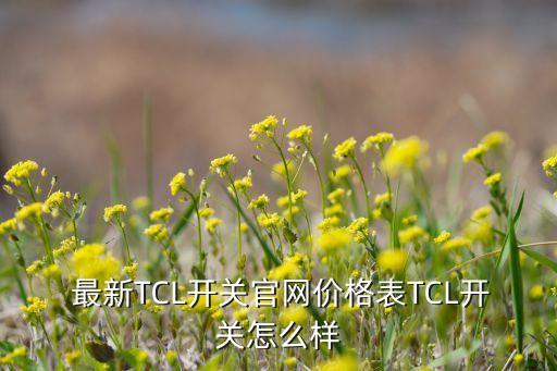 tcl集團(tuán)最新消息