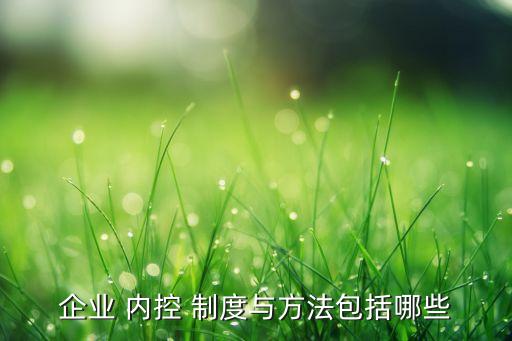 企業(yè) 內(nèi)控 制度與方法包括哪些