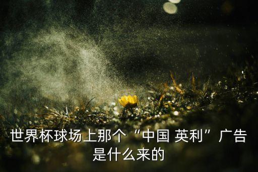 英利集團發(fā)行債券,集團發(fā)行債券意味著什么