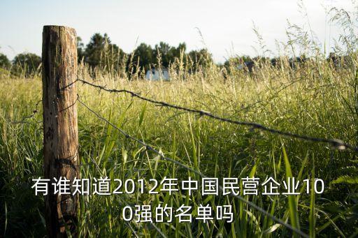 有誰(shuí)知道2012年中國(guó)民營(yíng)企業(yè)100強(qiáng)的名單嗎