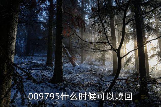 009795什么時候可以贖回