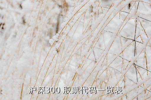 滬深300 股票代碼一覽表