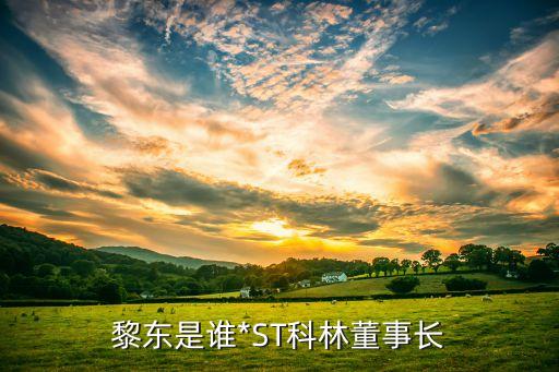 黎東是誰*ST科林董事長(zhǎng)