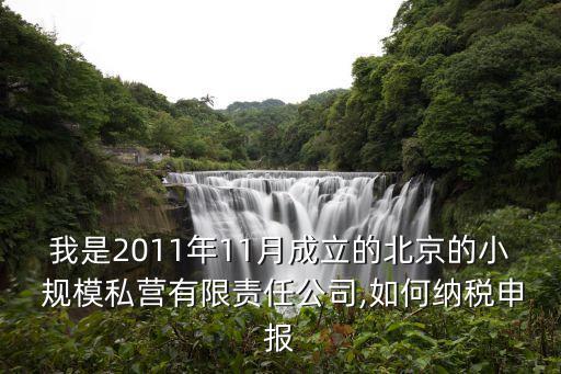 我是2011年11月成立的北京的小 規(guī)模私營有限責任公司,如何納稅申報