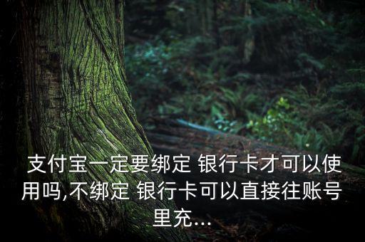  支付寶一定要綁定 銀行卡才可以使用嗎,不綁定 銀行卡可以直接往賬號里充...