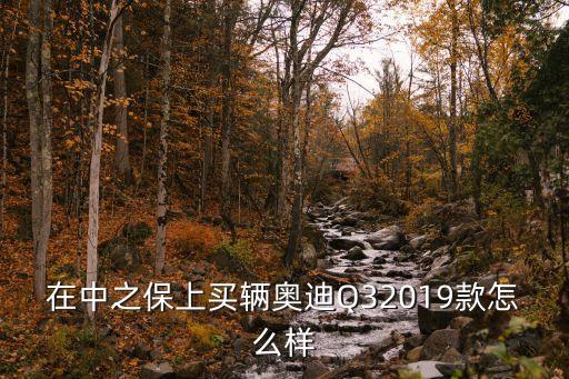 在中之保上買輛奧迪Q32019款怎么樣