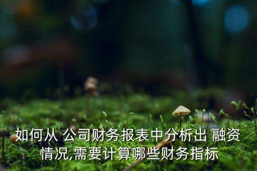 如何從 公司財務(wù)報表中分析出 融資 情況,需要計算哪些財務(wù)指標