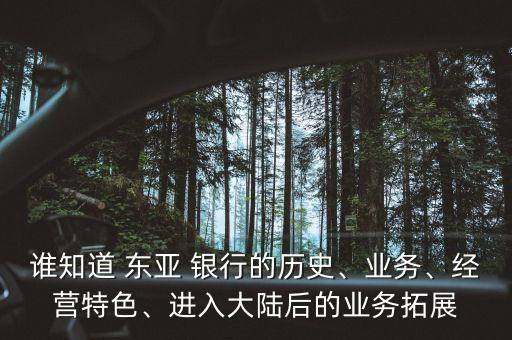 誰知道 東亞 銀行的歷史、業(yè)務(wù)、經(jīng)營特色、進(jìn)入大陸后的業(yè)務(wù)拓展