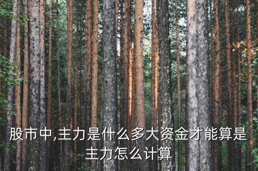 中國(guó)證金多少錢,b證報(bào)名費(fèi)多少錢