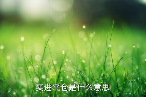 買(mǎi)進(jìn)平倉(cāng)是什么意思