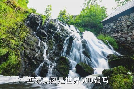  正泰集團(tuán)是世界500強(qiáng)嗎