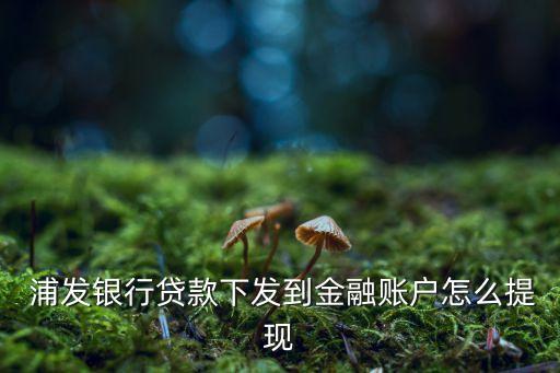  浦發(fā)銀行貸款下發(fā)到金融賬戶怎么提現(xiàn)