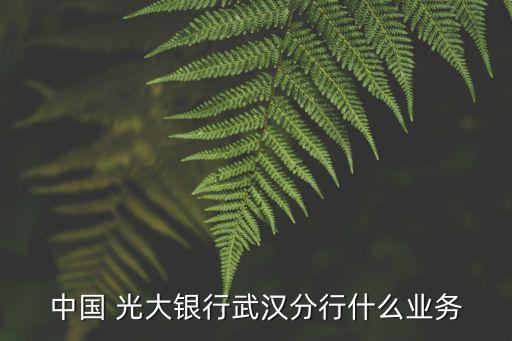 中國光大銀行可轉換公司債