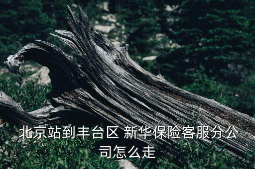  北京站到豐臺區(qū) 新華保險客服分公司怎么走