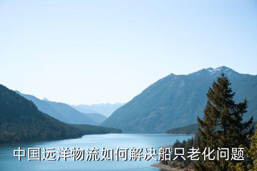 中國(guó)遠(yuǎn)洋物流如何解決船只老化問題