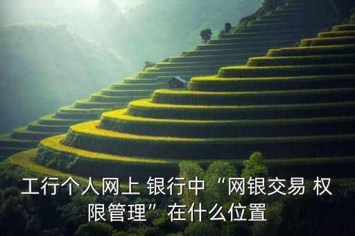 工行個人網(wǎng)上 銀行中“網(wǎng)銀交易 權(quán)限管理”在什么位置