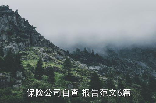 保險公司違規(guī)套費的整改報告