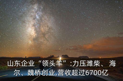 山東企業(yè)“領頭羊”:力壓濰柴、 海爾、魏橋創(chuàng)業(yè),營收超過6700億