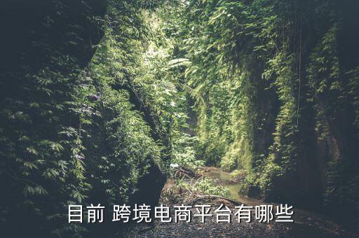 目前 跨境電商平臺(tái)有哪些