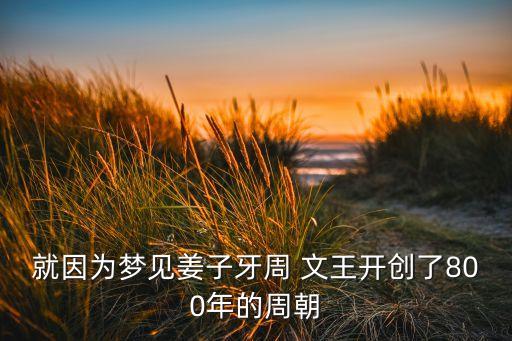 就因?yàn)閴?mèng)見(jiàn)姜子牙周 文王開(kāi)創(chuàng)了800年的周朝