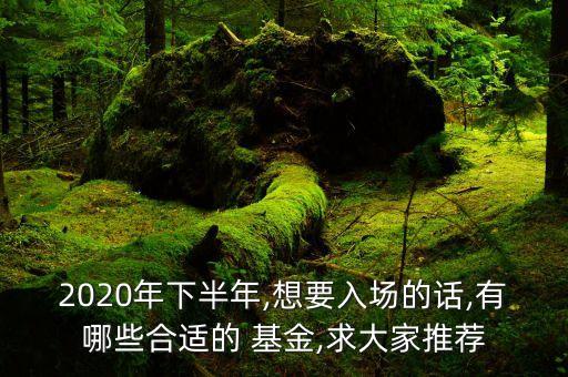 2020年下半年,想要入場的話,有哪些合適的 基金,求大家推薦